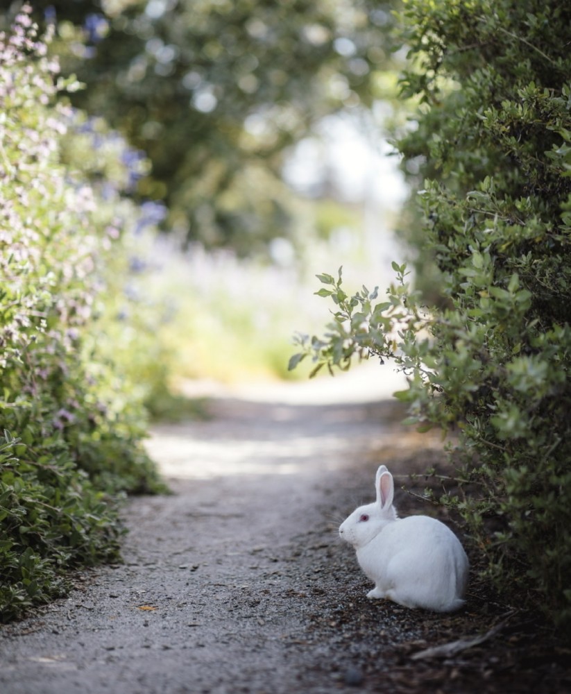 コラム【大丈夫、絶対良くなります。】
