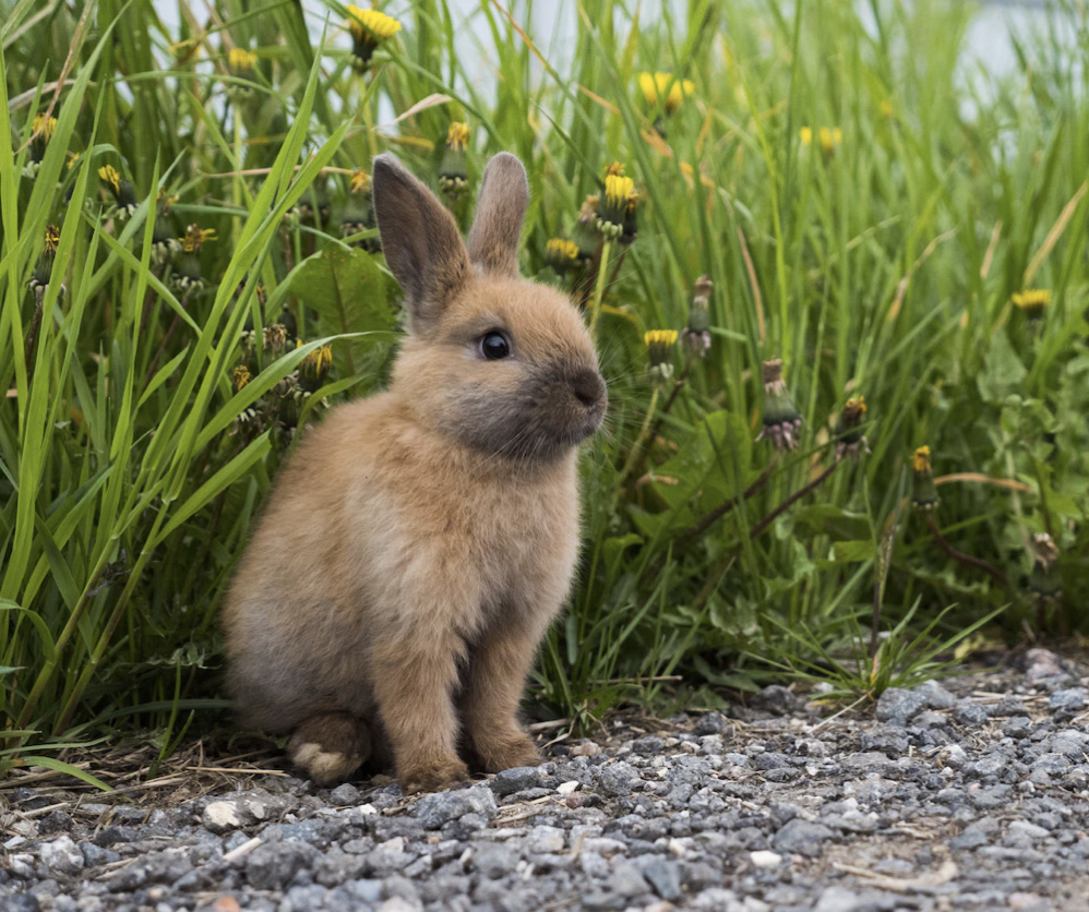 コラム【大丈夫、絶対良くなります。】
