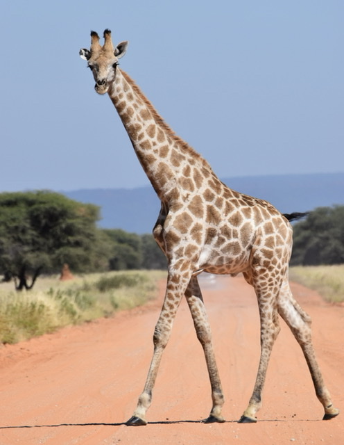 【才能と使命】