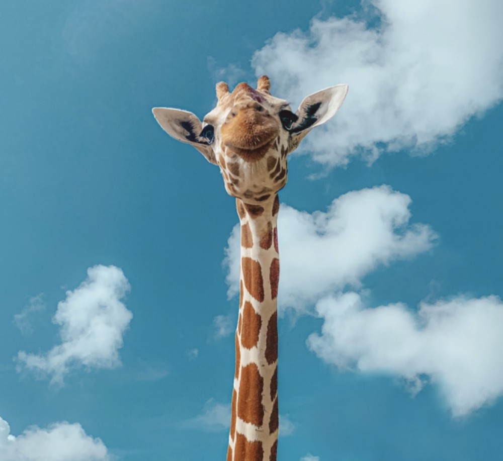 【才能と使命】