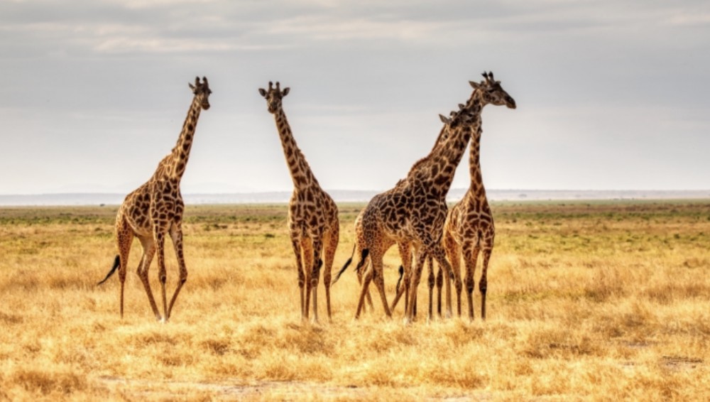 【才能と使命】