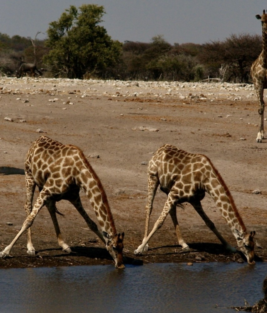【才能と使命】