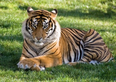 【緊張時のパニックの予防法】