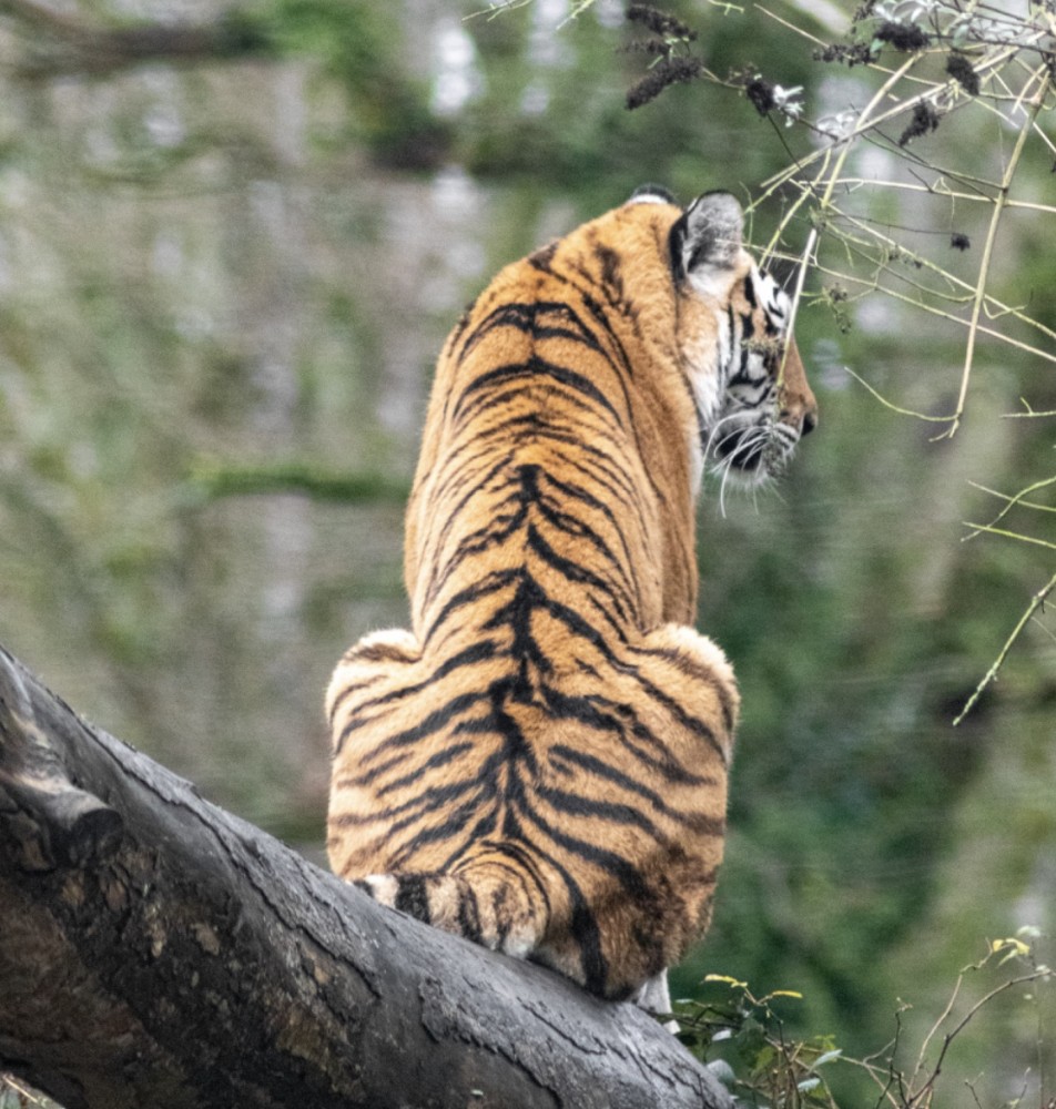 【緊張時のパニックの予防法】
