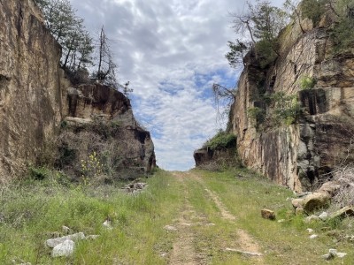 里帰りしてきました