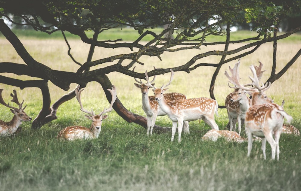 道を聞かれる特異体質？