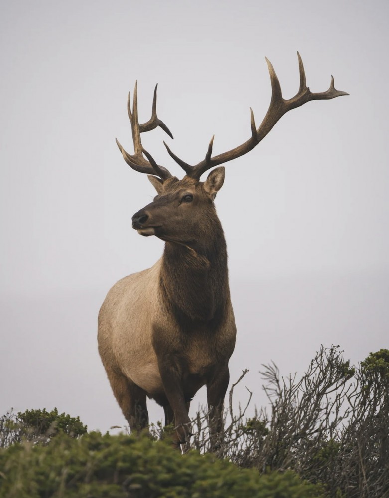 道を聞かれる特異体質？