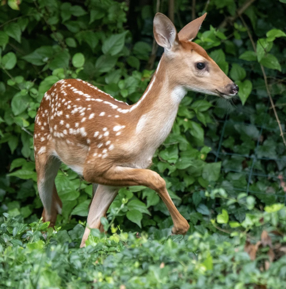 道を聞かれる特異体質？
