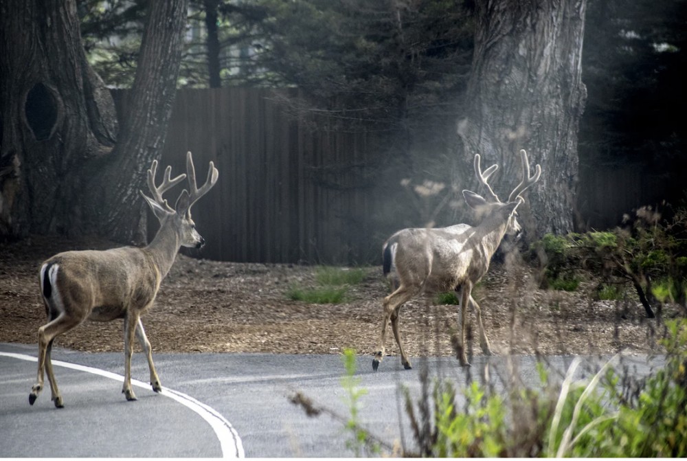 道を聞かれる特異体質？
