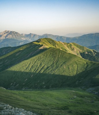 【なぜ40歳以下の歯科医師はドッグベストセメント治療を導入しないのか】