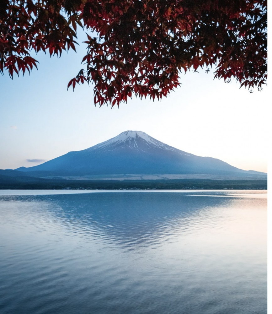 【なぜ40歳以下の歯科医師はドッグベストセメント治療を導入しないのか】