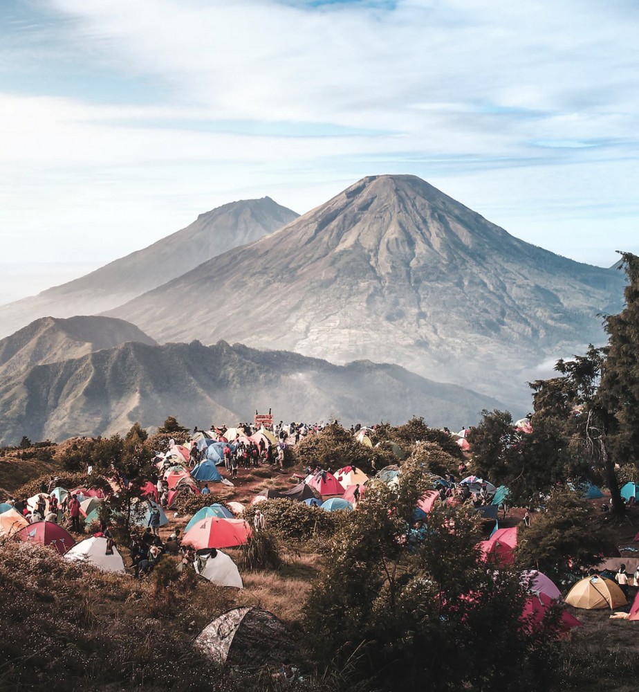 【なぜ40歳以下の歯科医師はドッグベストセメント治療を導入しないのか】