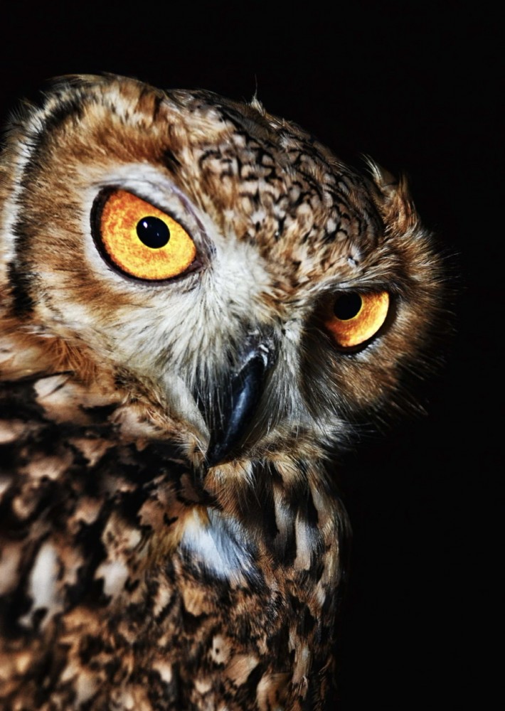 【歯科医師に威厳は必要ですか？】