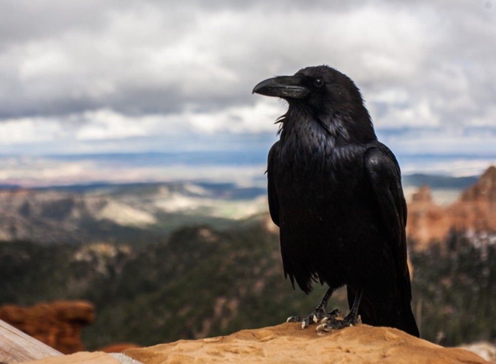 【岡山弁の話】英語と似ている岡山弁