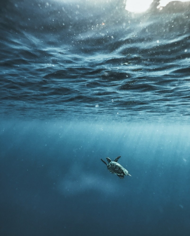 【噛む力で歯が割れた場合の治療】