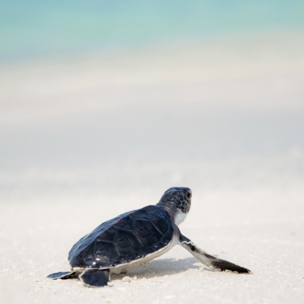 【1人では生きていけない】高速道路ロードサービス