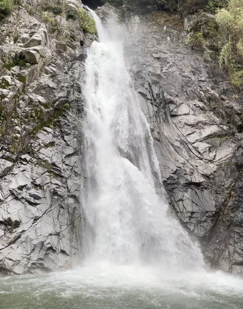 【カニ】雨の六甲山