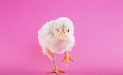 【歯並びの話】小児歯科の役割