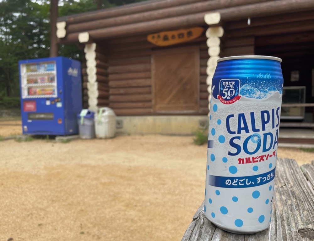 六甲山登ってきました