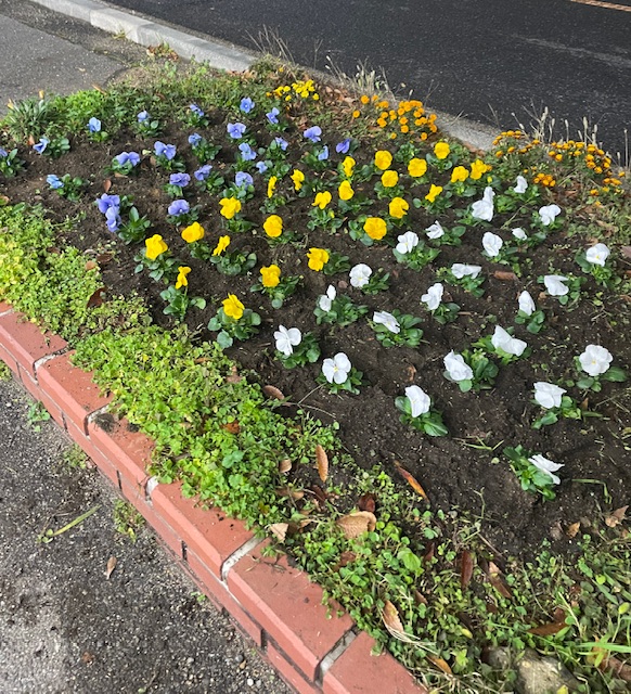 クリスマスの準備