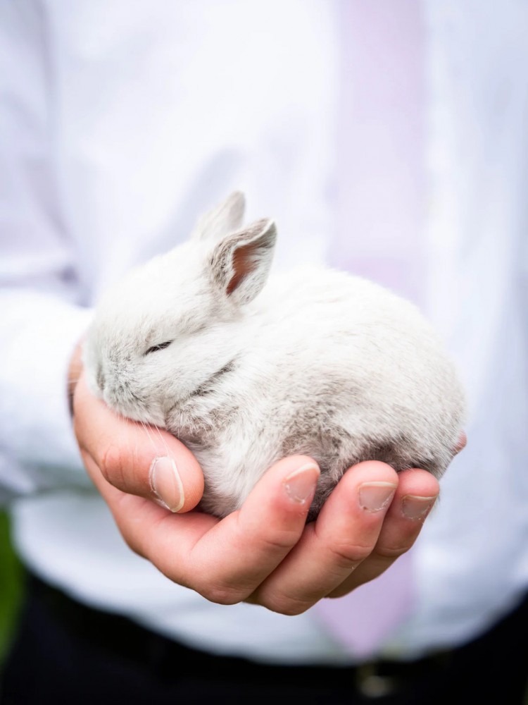 【中学生時代は短歌部でした】