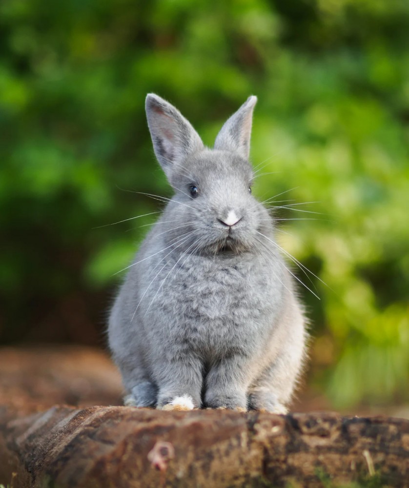 【中学生時代は短歌部でした】