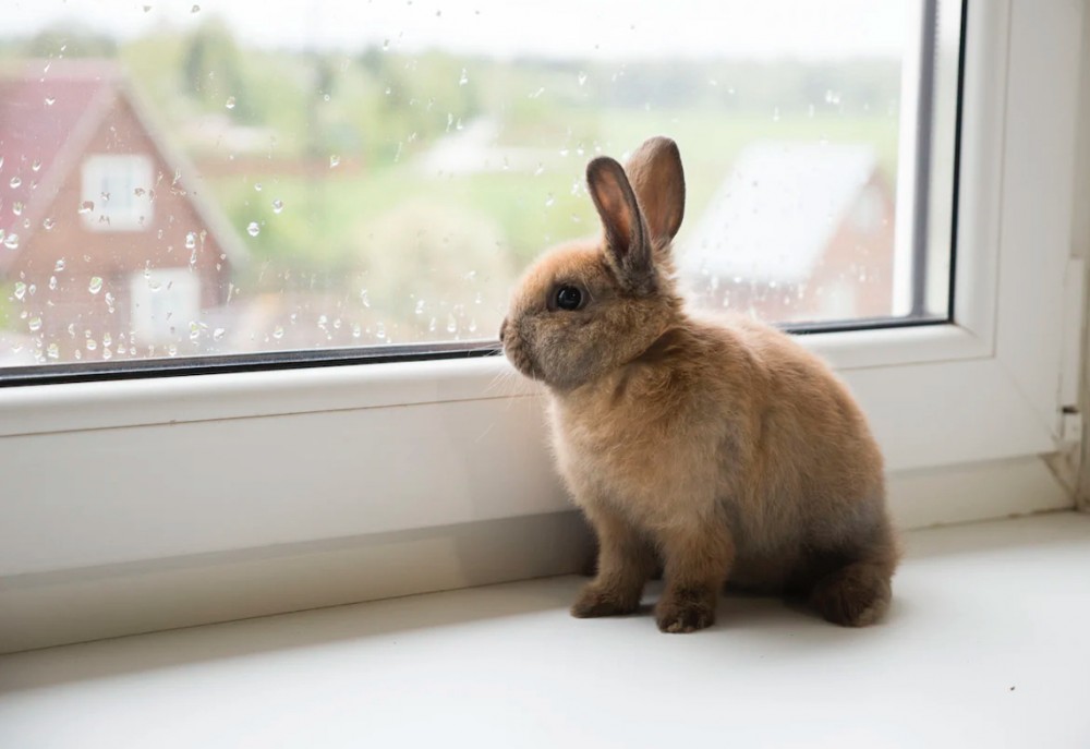 【中学生時代は短歌部でした】