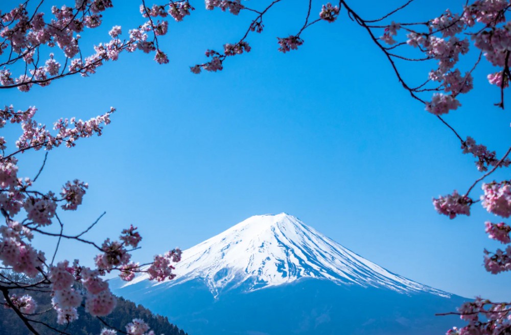 【八重歯について】