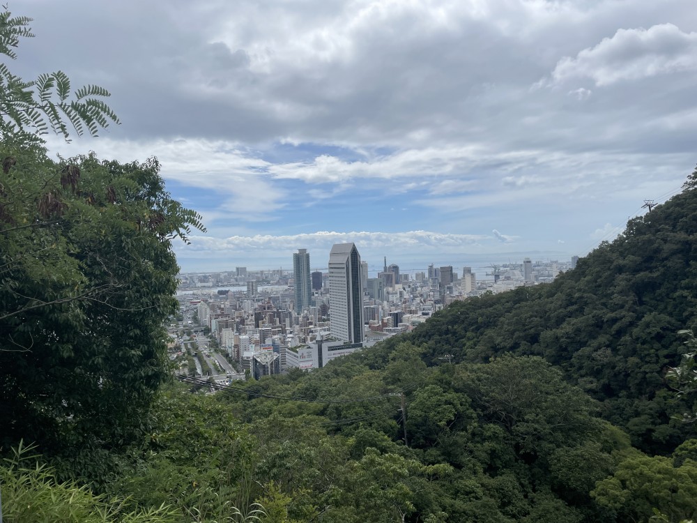 【ドッグベストセメント治療とは？(まとめ)】