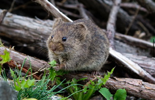 【謙虚な姿勢】