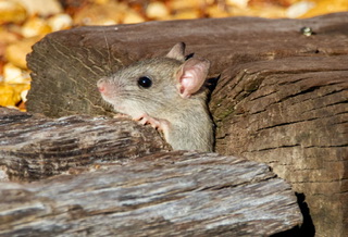 【謙虚な姿勢】