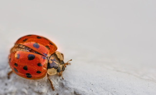 【謙虚な姿勢】