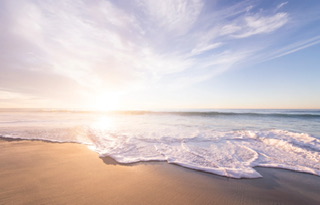 不思議な言葉「和田」