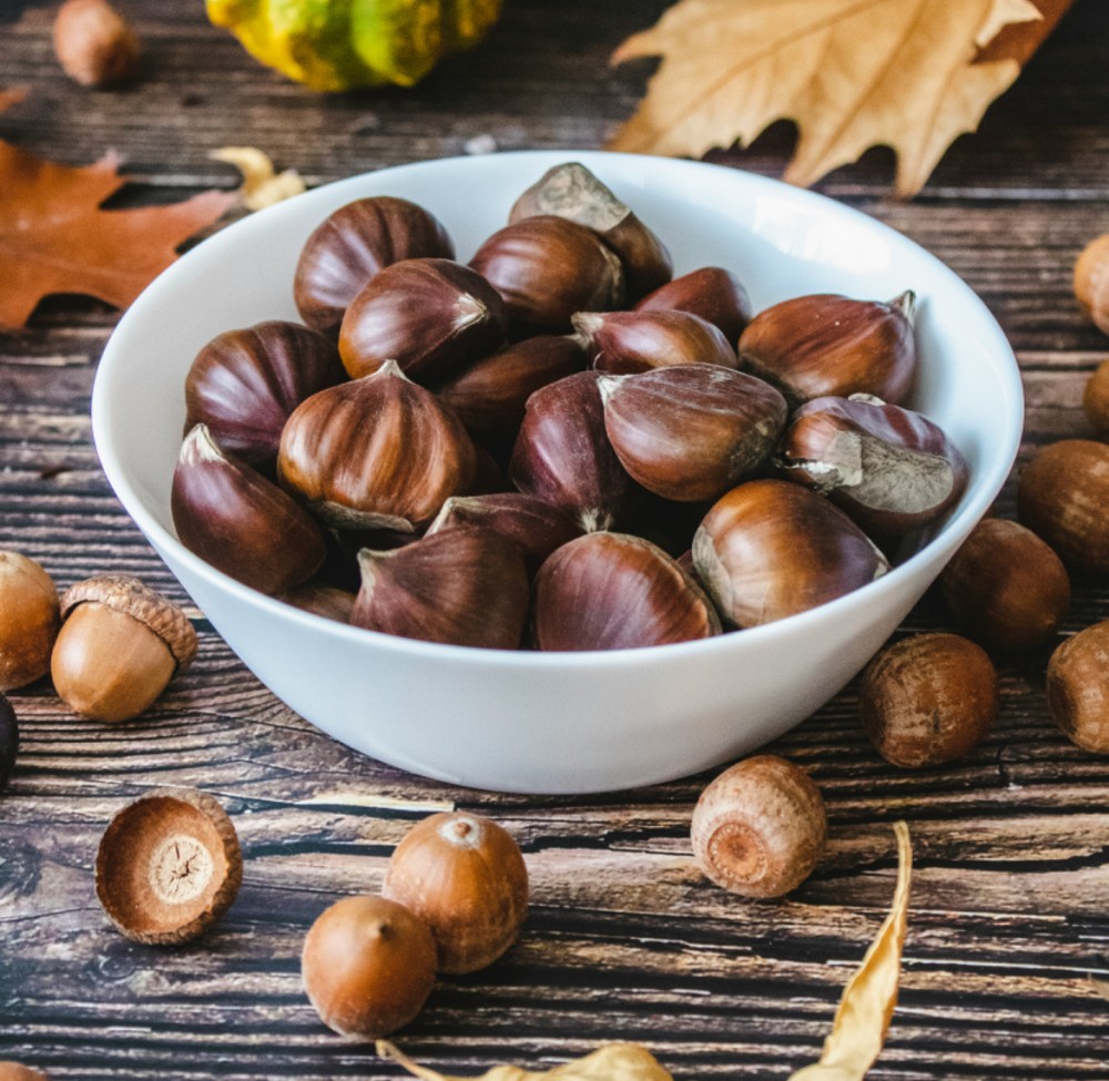 日本の栗の話【石器時代の品種改良】