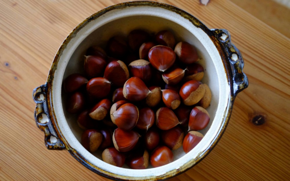 日本の栗の話【石器時代の品種改良】