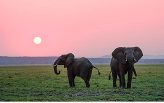 日本人の遺伝子解析【日本人の起源確定】