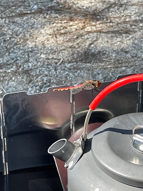 日帰りツーリングキャンプ