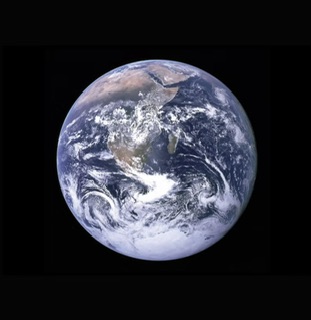 【Y遺伝子(Y染色体)のボトルネックの謎を解明する】