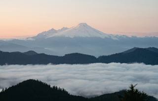【日本語の起源解明】