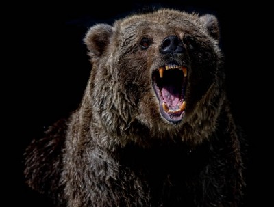 対ヒグマ専用武器