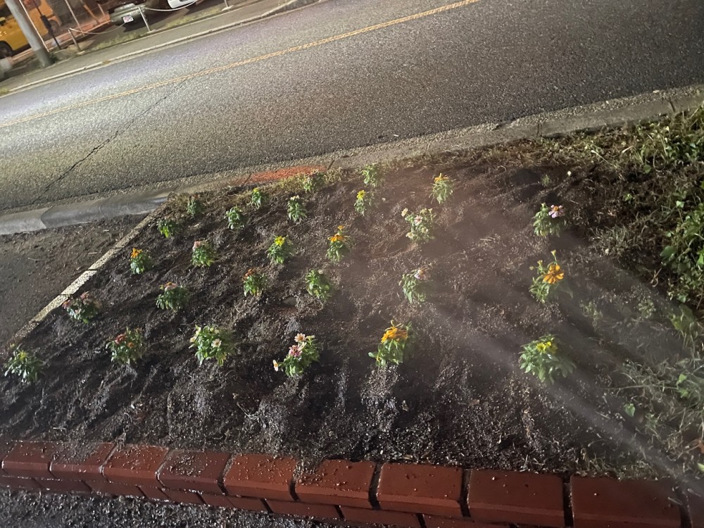 花を植えました