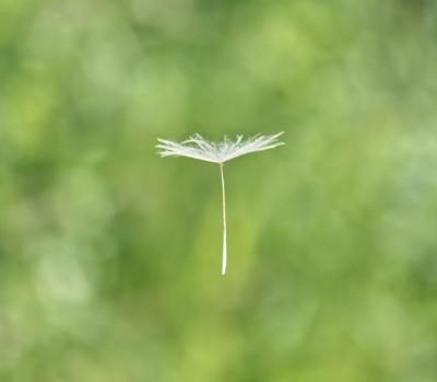 無駄な努力にも意味がある