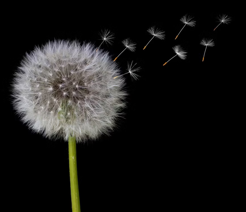 無駄な努力にも意味がある