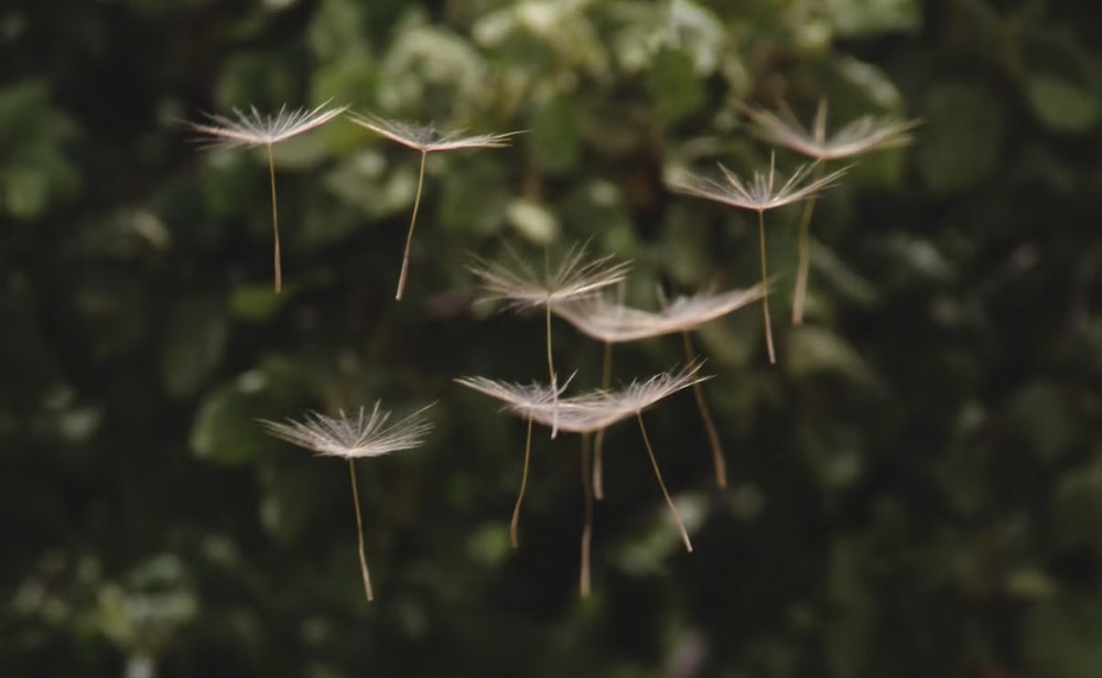 無駄な努力にも意味がある