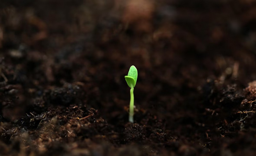 無駄な努力にも意味がある