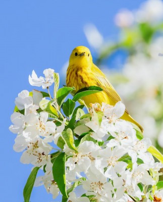 【自分の愛し方】