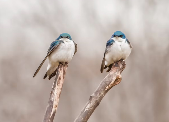 【自分の愛し方】