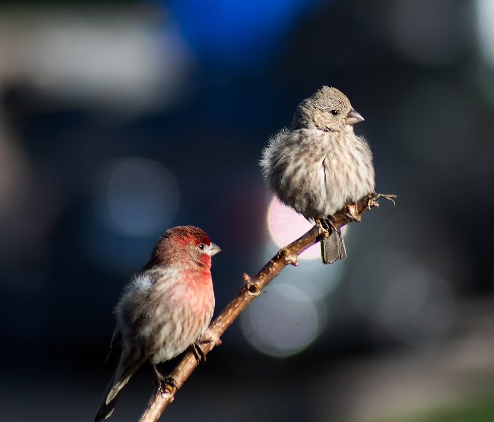 【自分の愛し方】