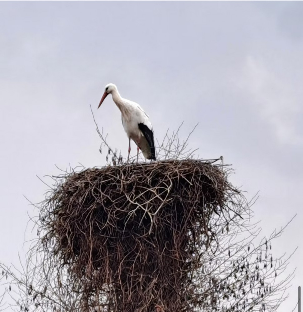 【自分の愛し方】