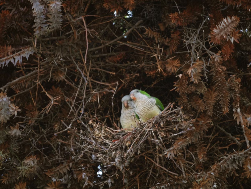 【自分の愛し方】